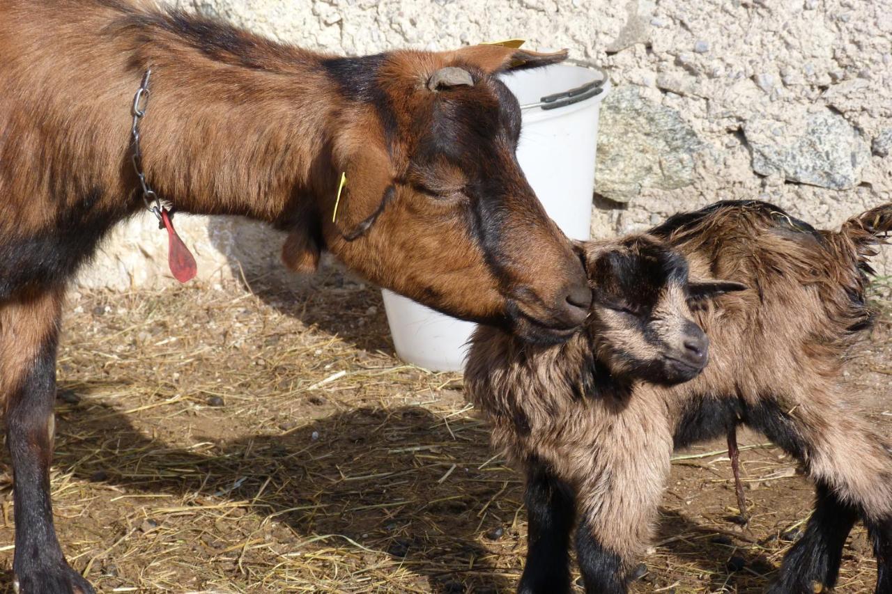 Agriturismo La Meta Pieve di Bono Zewnętrze zdjęcie