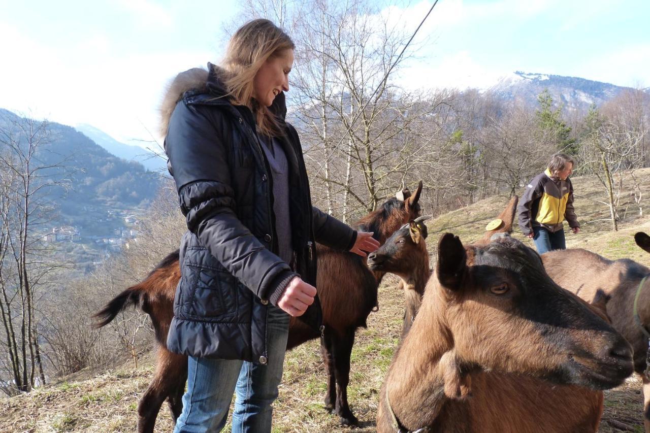 Agriturismo La Meta Pieve di Bono Zewnętrze zdjęcie